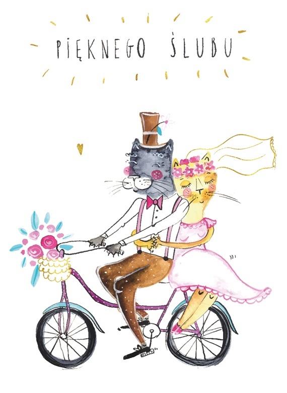 Karnet B6 Ślub koty na rowerze