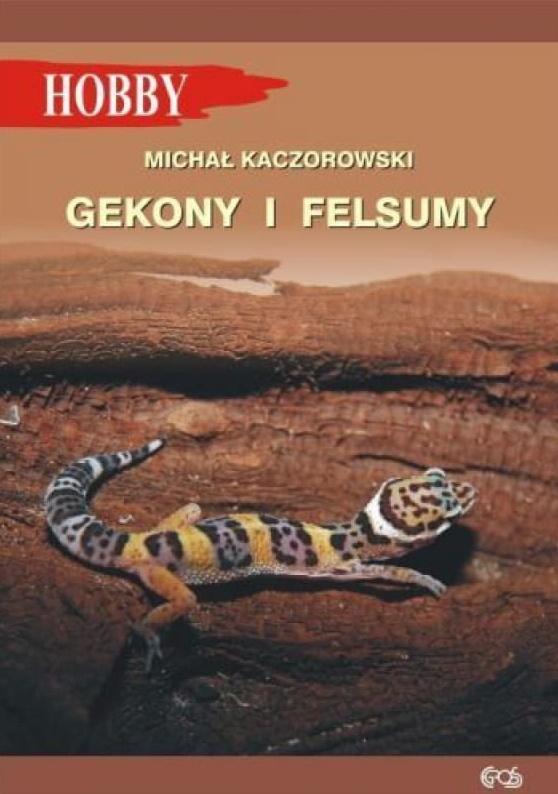 Gekony I Felsumy w.3