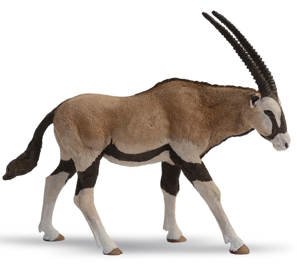 Antylopa Oryx