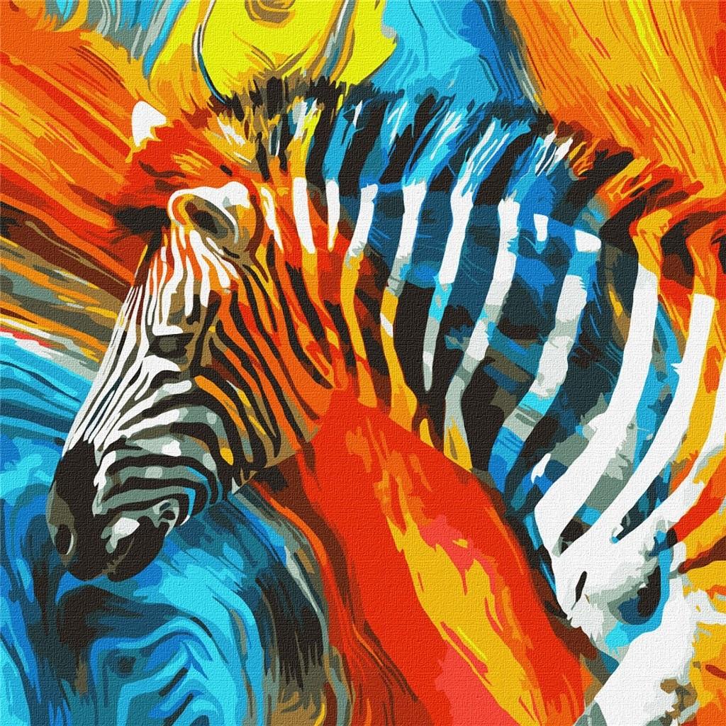 Malowanie po numerach - Kolorowa zebra 50x50cm