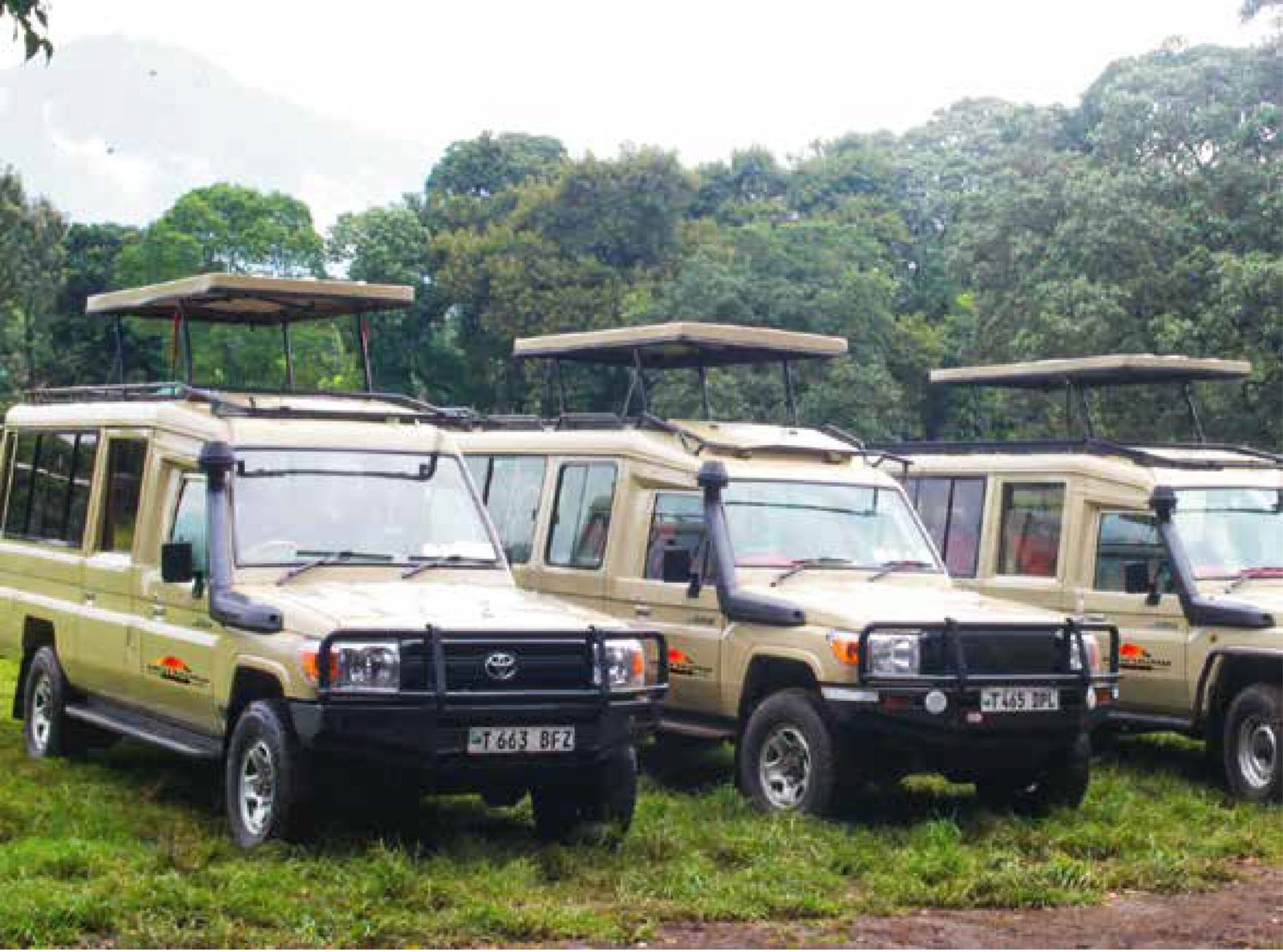 A row of safari vehicles parked in a grassy area with trees in the background.