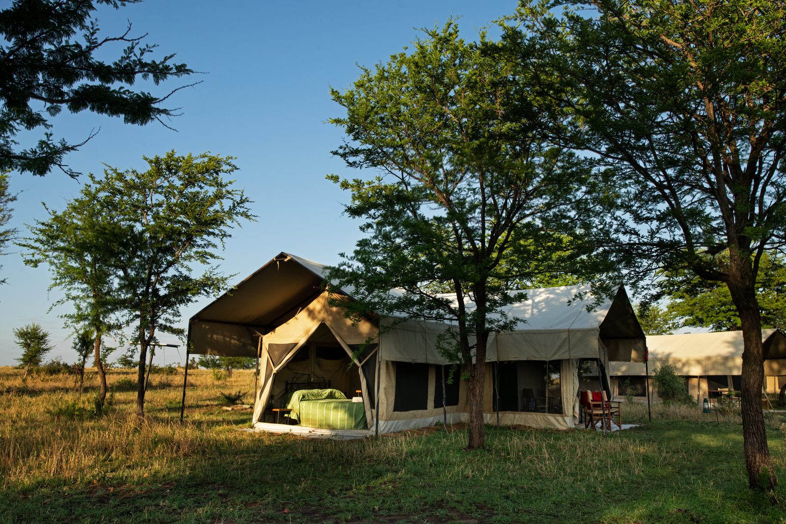 A tent accommodation set in a grassy area surrounded by trees under a clear blue sky.