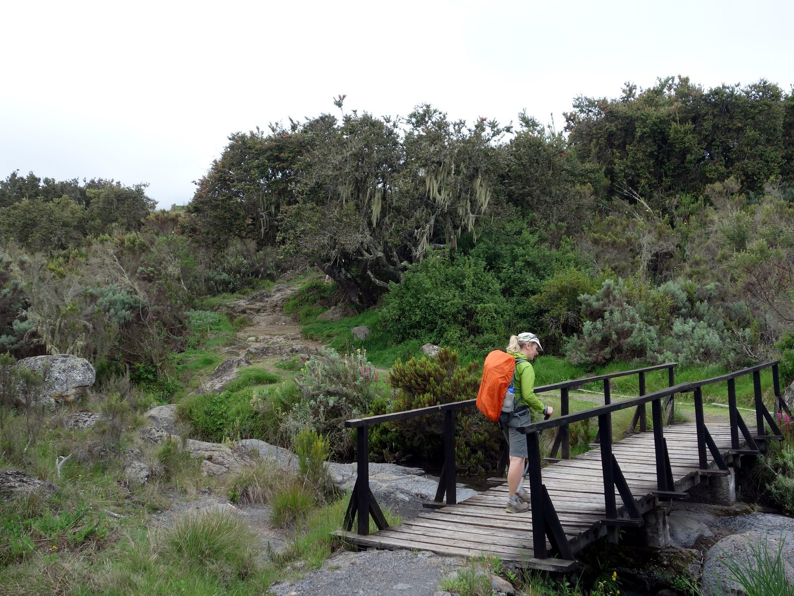 10 Day Trip | Climb Kilimanjaro via 7 Day Lemosho Route