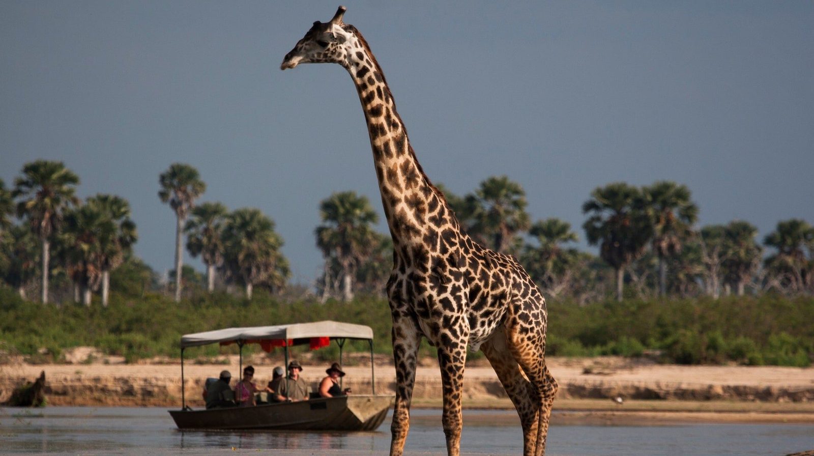 18 Day Tanzania Safari & Southern Adventure Itinerary – Moderate