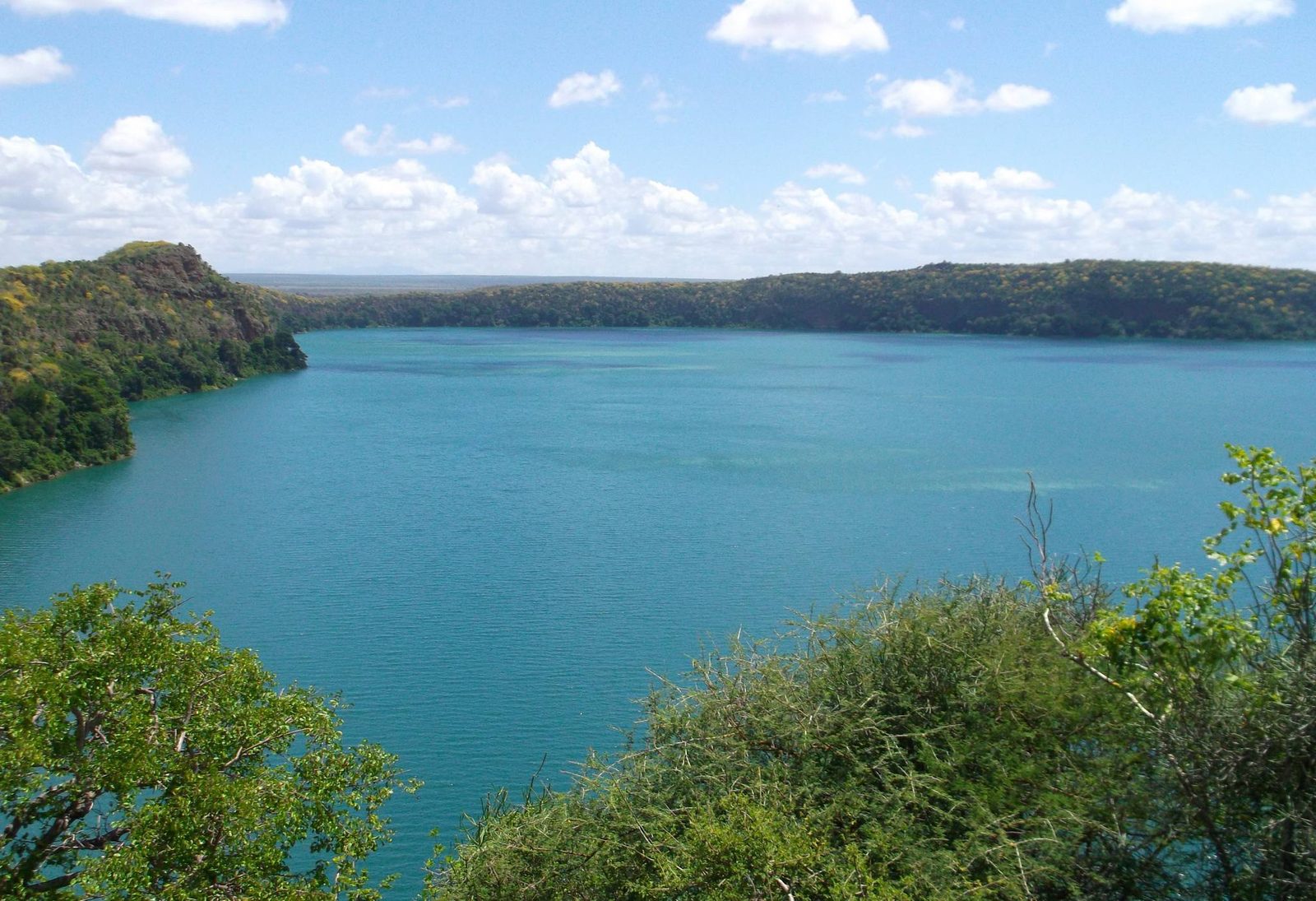 Day Tour to Lake Manyara