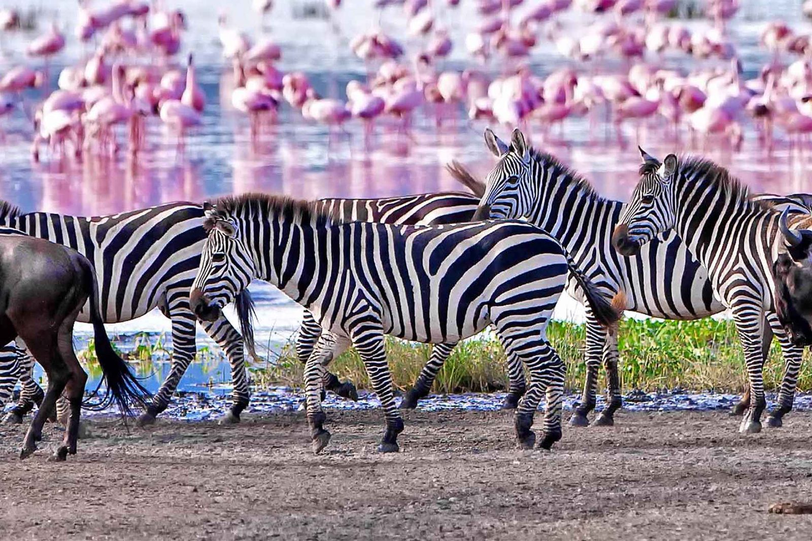 Lake Manyara