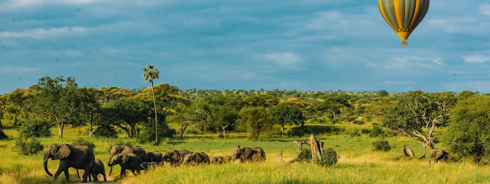 Hiking, Safari, and Beach Bliss: An Adventurous Escape