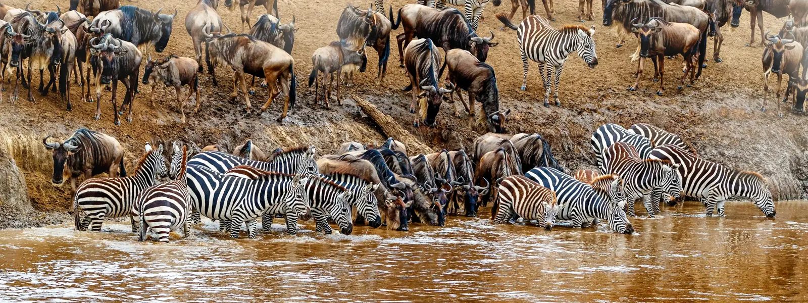 Migration Safari & Cultural Experience: Tanzania & Zanzibar