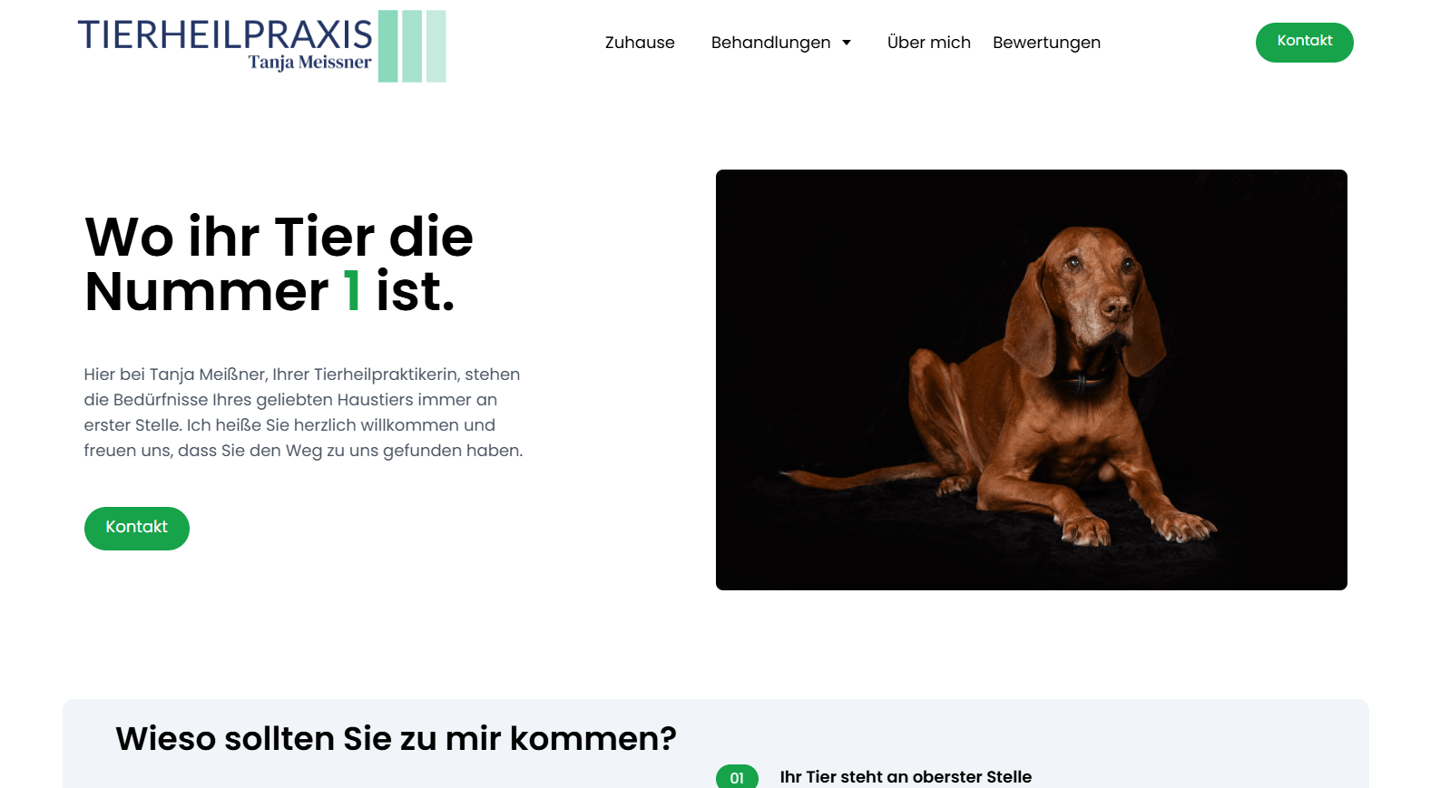 Vorschau Tierheilpraxis Tanja Meißner