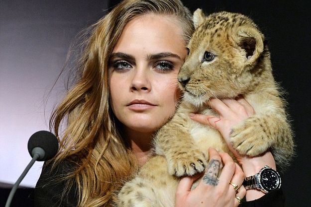 Кара Делевинь снялась в фотосессии с львом