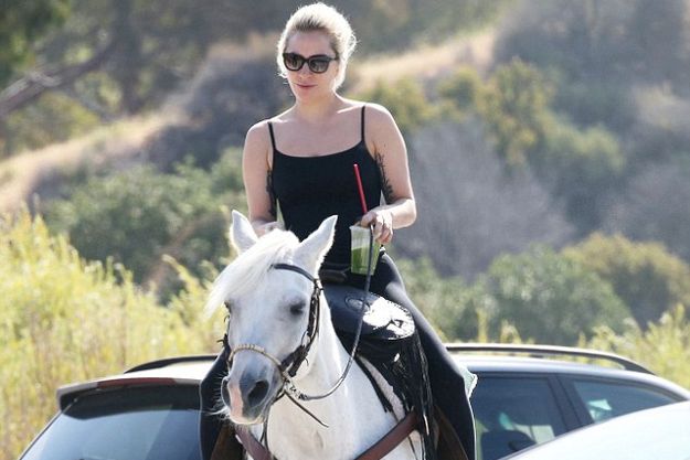 Леди Гага на лошади съездила в магазин