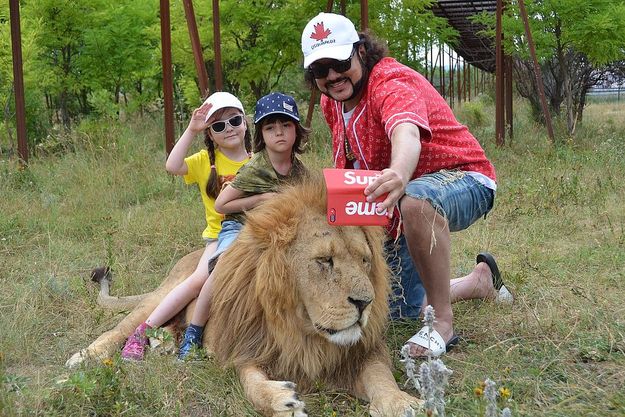 Филипп Киркоров с детьми в Крыму устроили фотосессию с настоящими львами