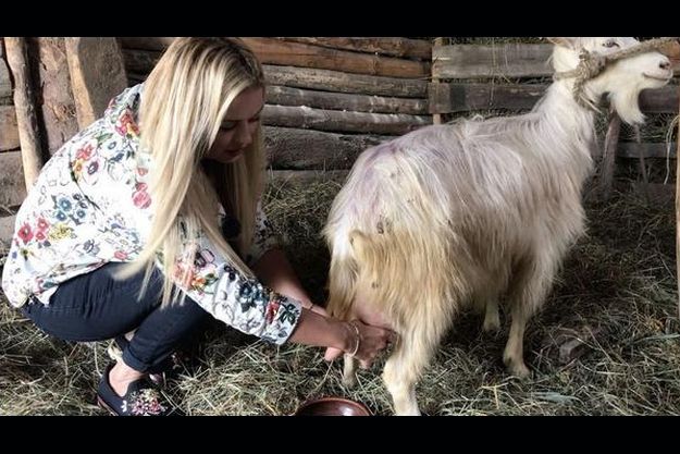 Анна Семенович подоила козу